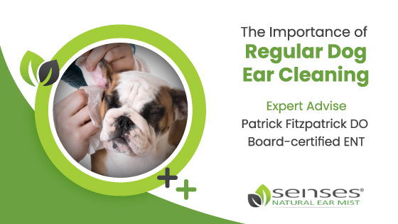 The Importance of Regular Dog Ear Cleaning