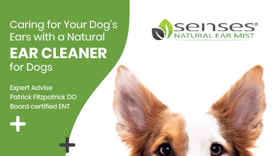 Caring for Your Dog’s Ears with a Natural Ear Cleaner for Dogs