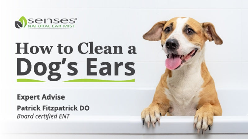 how to clean your dogs ears